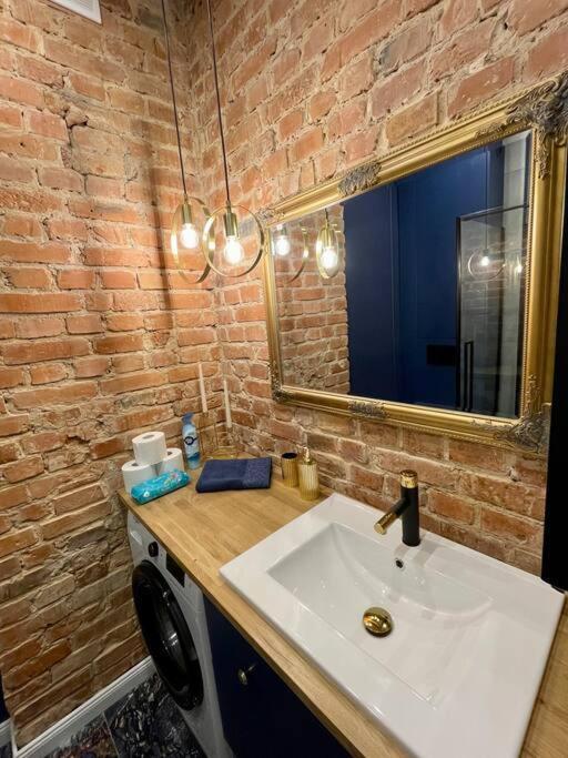 Luxury Apartment In Gliwice Near Town Square Eksteriør bilde